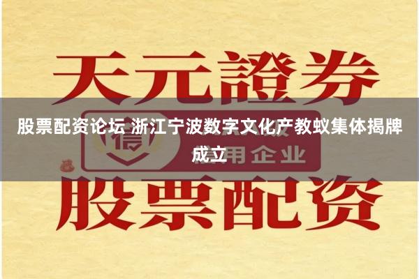 股票配资论坛 浙江宁波数字文化产教蚁集体揭牌成立